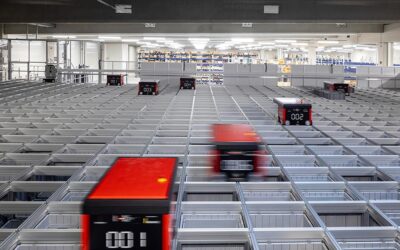 Dematic automatisiert Distributionszentrum in Frankreich